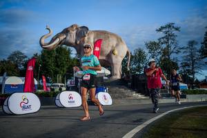 BIB: 
                            <button type="button" onclick="openModal(26541846)" class="btn btn-primary btn-sm float-right btn-popup" data-toggle="modal" data-target=".modal-high-quality">
                        <i class="fas fa-shopping-cart"></i> Add to Cart
                    </button>
                                            <button type="button" onclick="isThisMe(26541846, true)" class="btn btn-success btn-sm float-right btn-popup btn-isme hidden" data-toggle="tooltip" data-placement="bottom" title="นี่คือรูปของคุณใช่ไหม คลิกที่นี่เพื่อเอาเข้าอัลบั้ม">
                        <i class="fas fa-plus"></i> Add to album
                    </button>
                    <button type="button" onclick="isThisMe(26541846, false)" class="btn btn-warning btn-sm float-right btn-popup btn-isnotme hidden">
                        <i class="fas fa-ban"></i> Remove from album
                    </button>